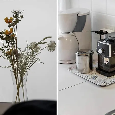 8817-hvide-sande-magevej-2