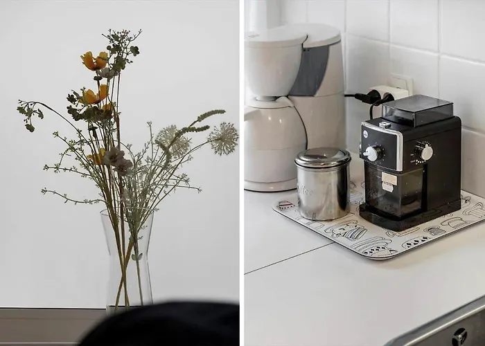 8817-hvide-sande-magevej-2